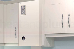 Little Henny electric boiler quotes